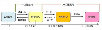 引起宫颈糜烂样改变的原因